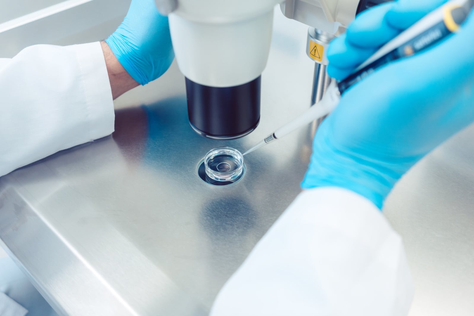Hände benutzen eine Pipette unter Mikroskop