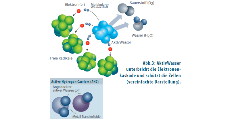 Ein Molekül des AktivWassers wird wird von den Elektrokaskaden angegriffen und steht schützend vor den Körperzellen