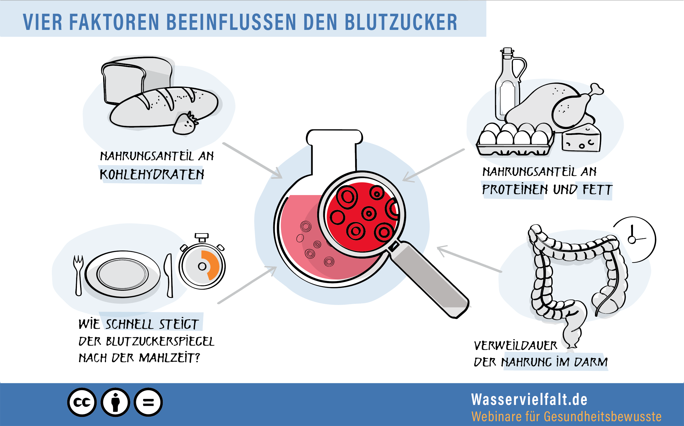 Eine Zeichnung. In der Mitte ist ein großes bauchiges Reagenzglas in dem eine rote Flüssigkeit mit Zelle ist, die den Blutzucker darstellen Eine Lupe vergrößert die Zellen. Im Uhrzeigersinn werden Nahrungsmittel, ein Darm und Besteck mit einer Stoppuhr gezeigt. 