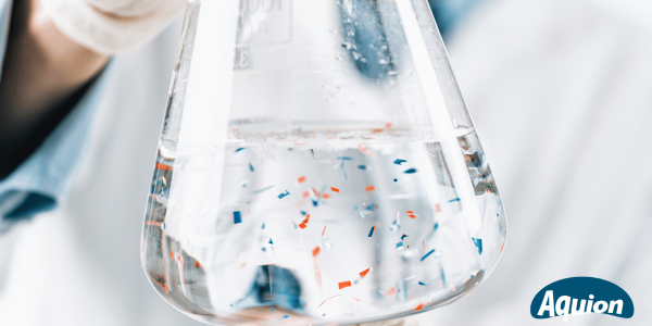 Mikroplastik kann in den Körper eindringen